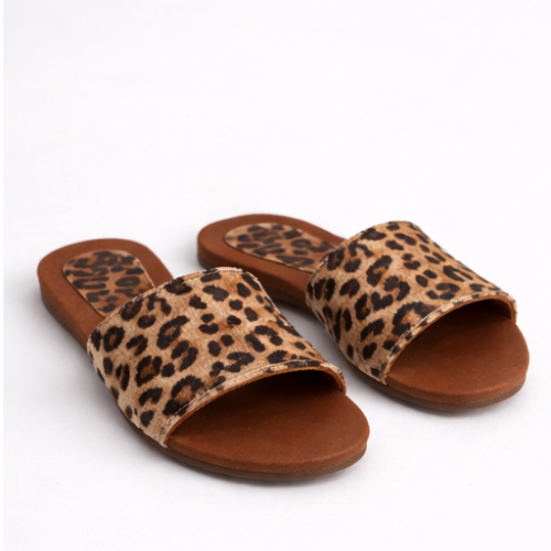 Sanadalias Bari Leopardo