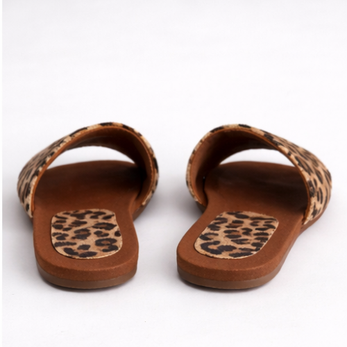 Sanadalias Bari Leopardo